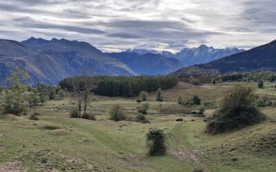 Appel des Pyrénées
